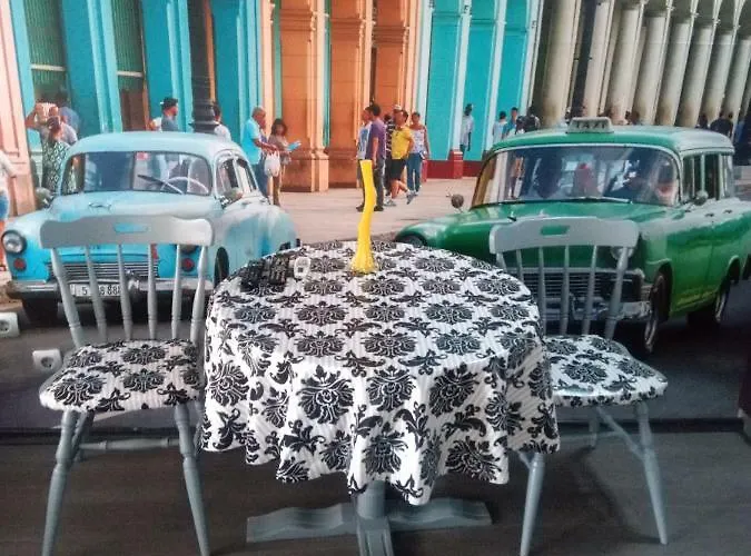 самостоятелни студия